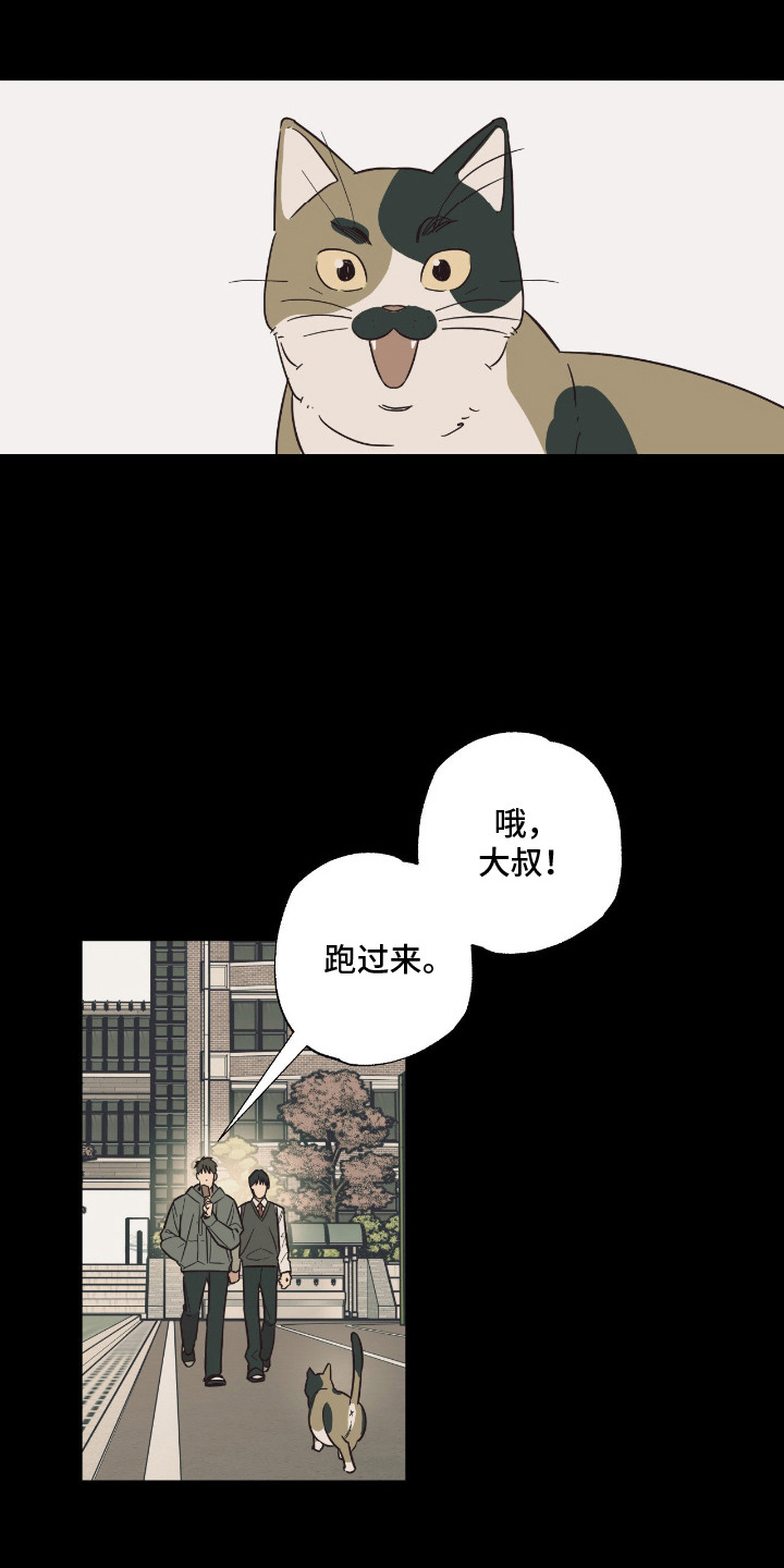 猫大爷和我漫画,第1章：老朋友4图