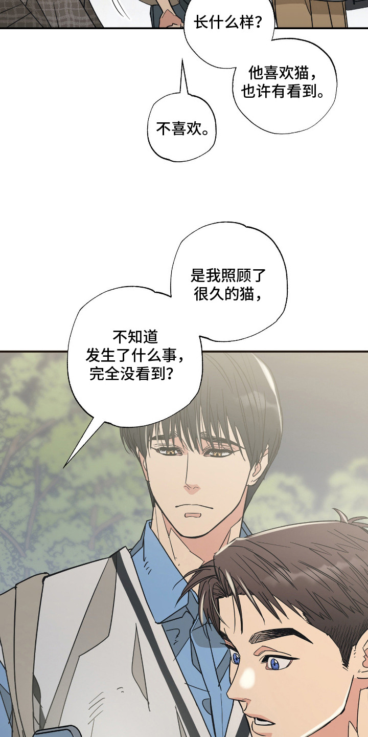 猫大爷和我漫画,第13章：误会2图