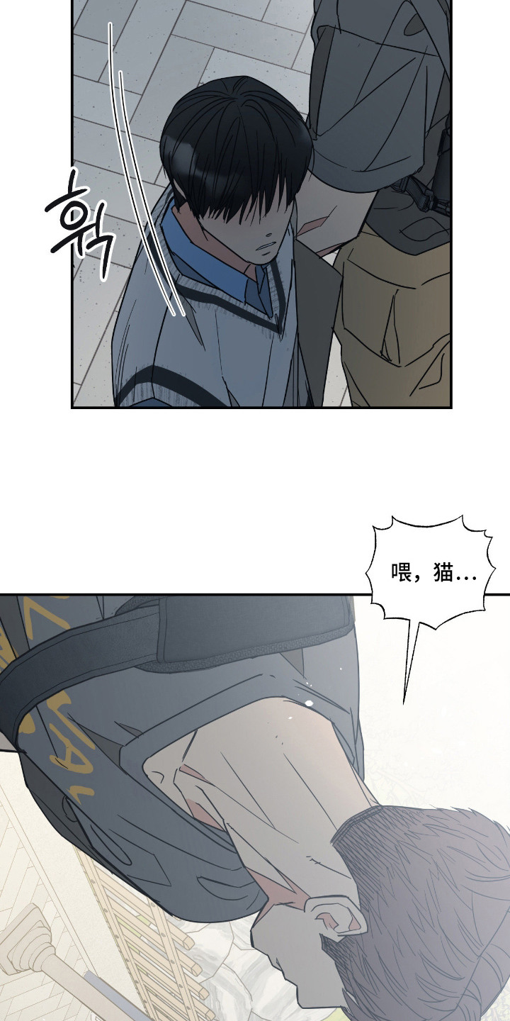 猫大爷和我漫画,第12章：没交往过2图