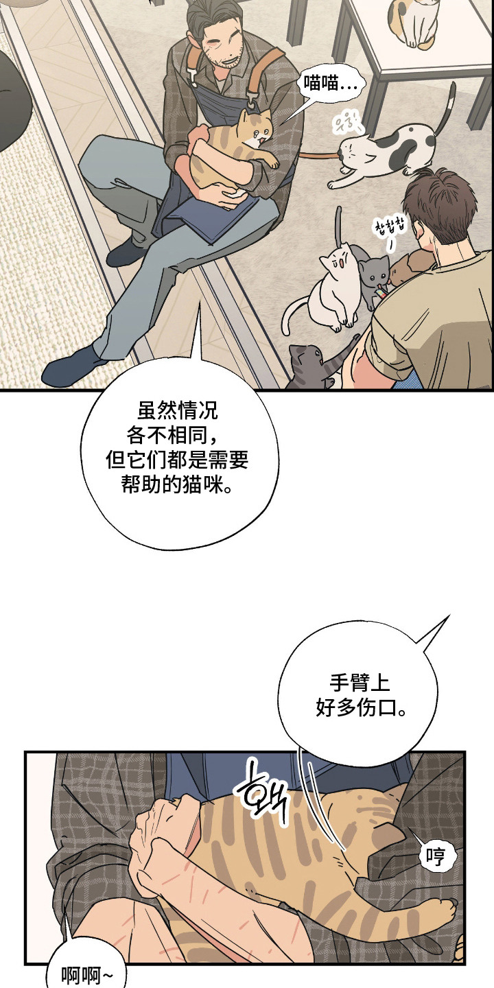 猫大爷和我漫画,第6章：大叔1图