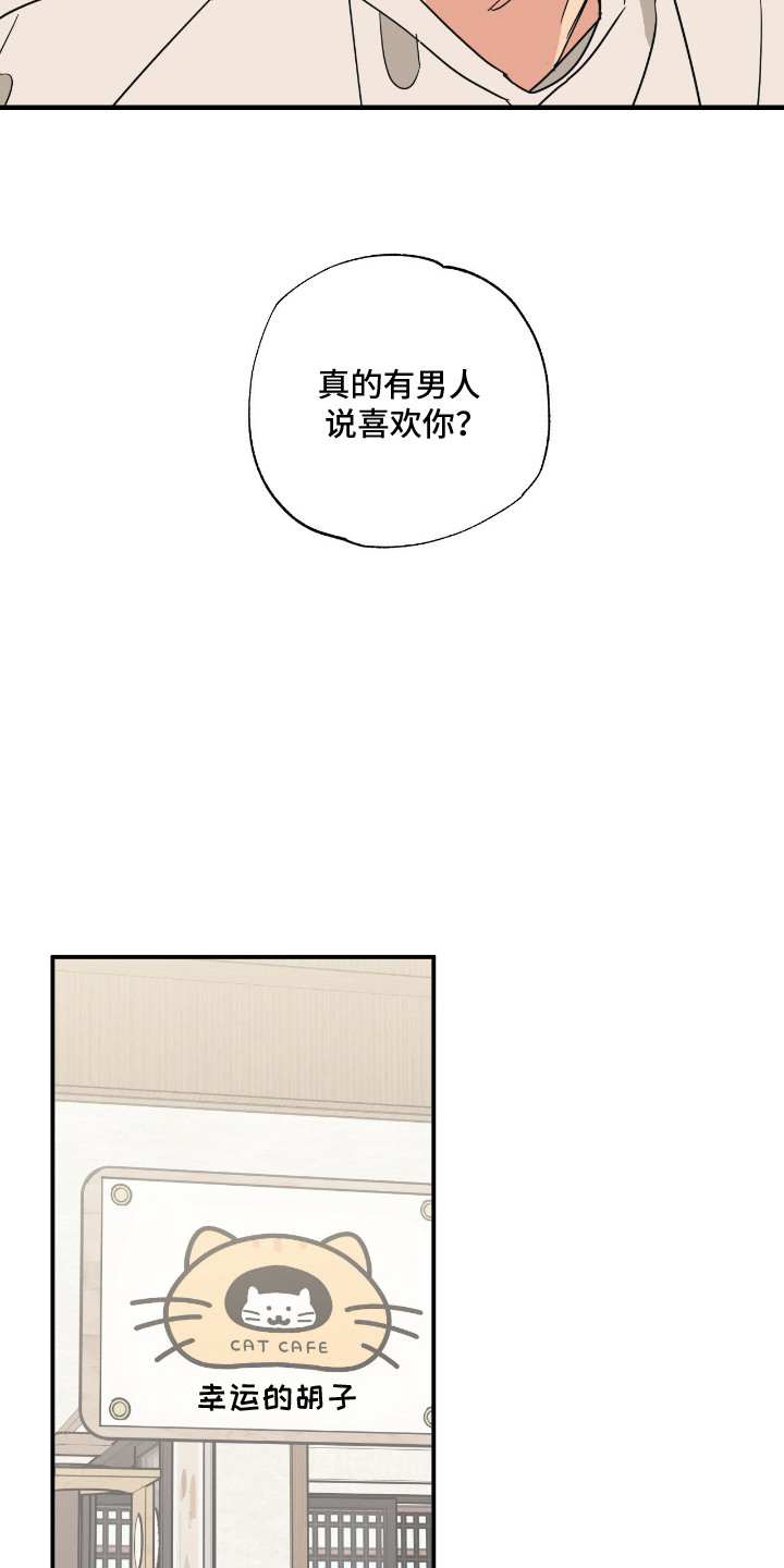 猫大爷和我漫画,第5章：失望3图