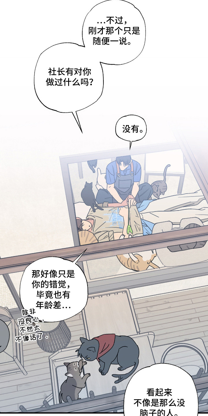 猫大爷和我漫画,第7章：试探2图