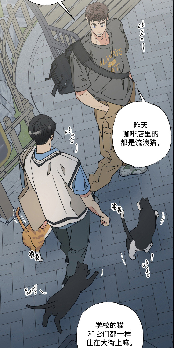 猫大爷和我漫画,第11章：不能不管2图