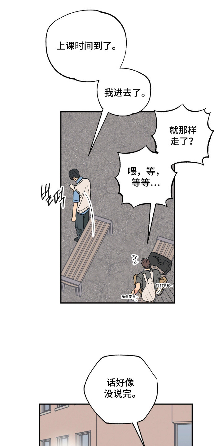 猫大爷和我漫画,第10章：喜欢你4图