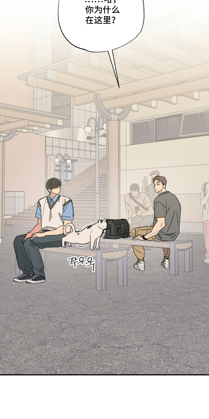 猫大爷和我漫画,第10章：喜欢你2图