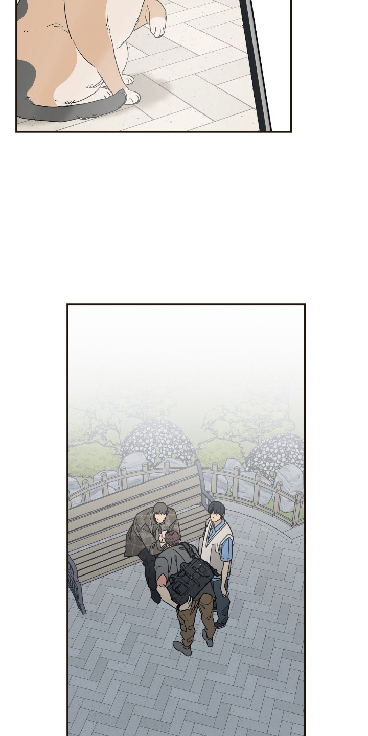 猫大爷和我漫画,第13章：误会4图