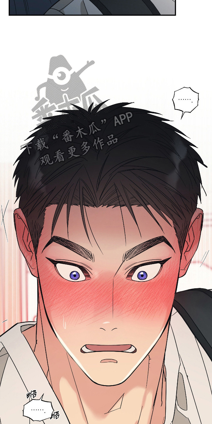 猫大爷和我漫画,第4章：慌张4图