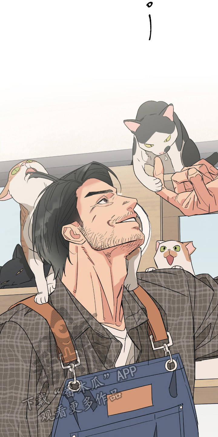 猫大爷和我漫画,第5章：失望5图