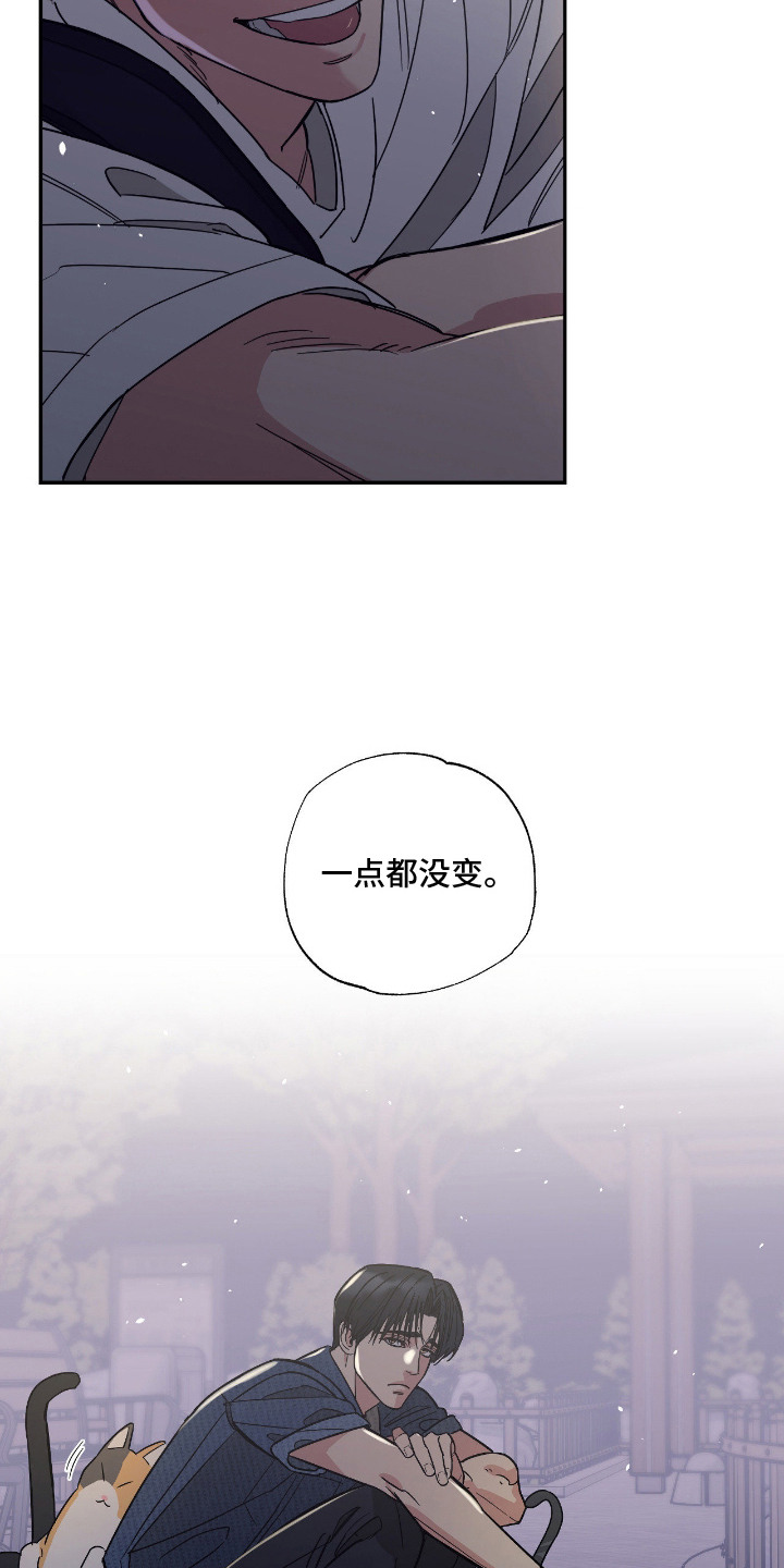 猫大爷和我漫画,第2章：野猫3图