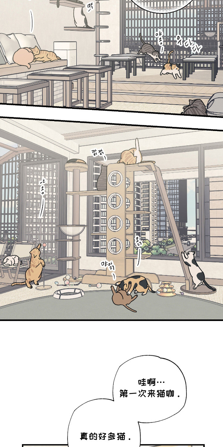 猫大爷和我漫画,第6章：大叔3图