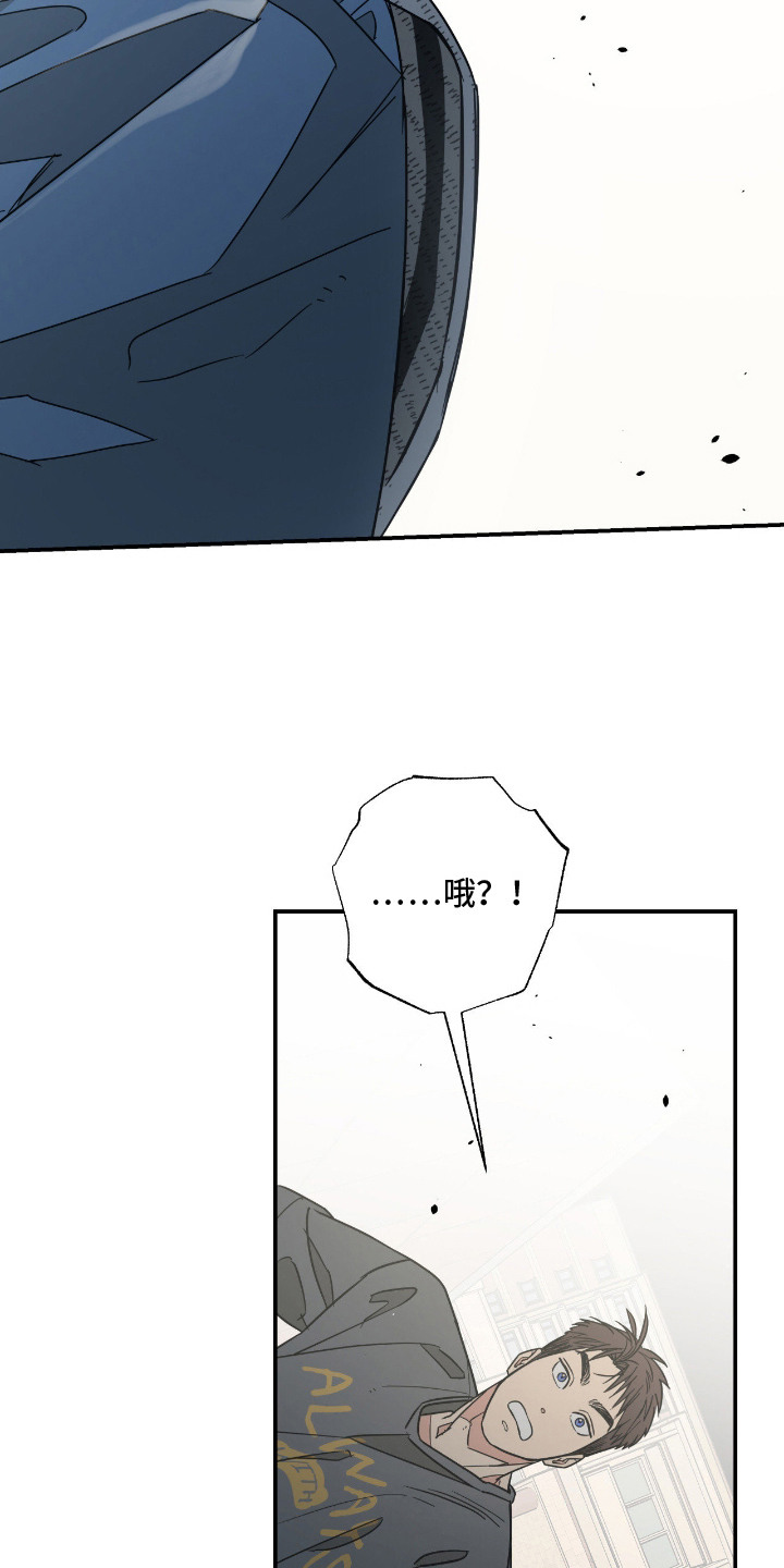猫大爷和我漫画,第14章：坦诚3图