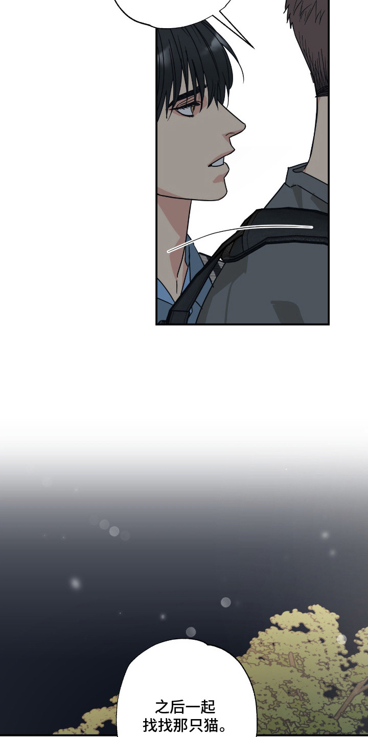 猫大爷和我漫画,第11章：不能不管5图