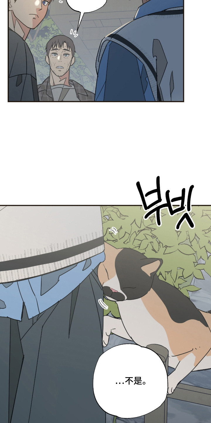 猫大爷和我漫画,第13章：误会3图