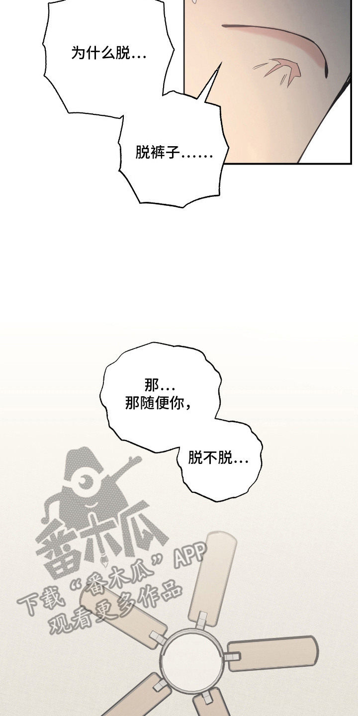 猫大爷和我漫画,第4章：慌张2图