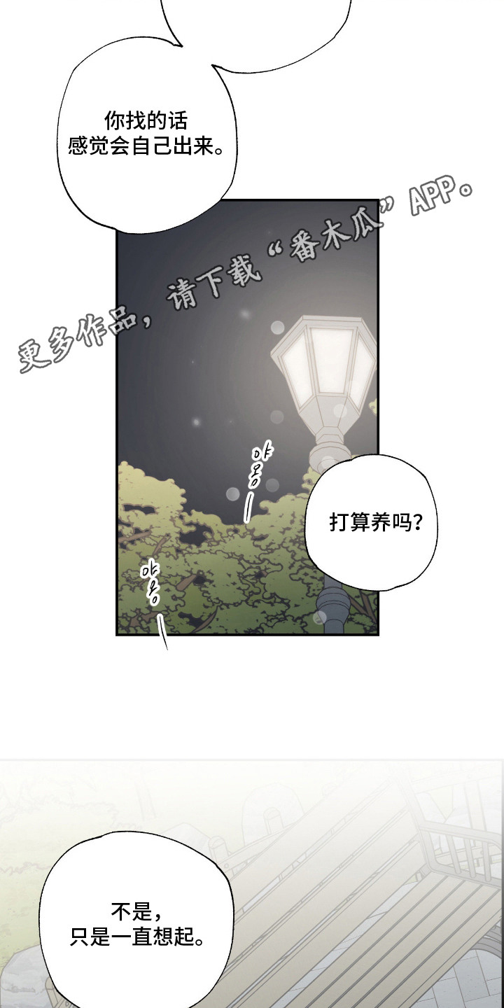 猫大爷和我漫画,第11章：不能不管1图