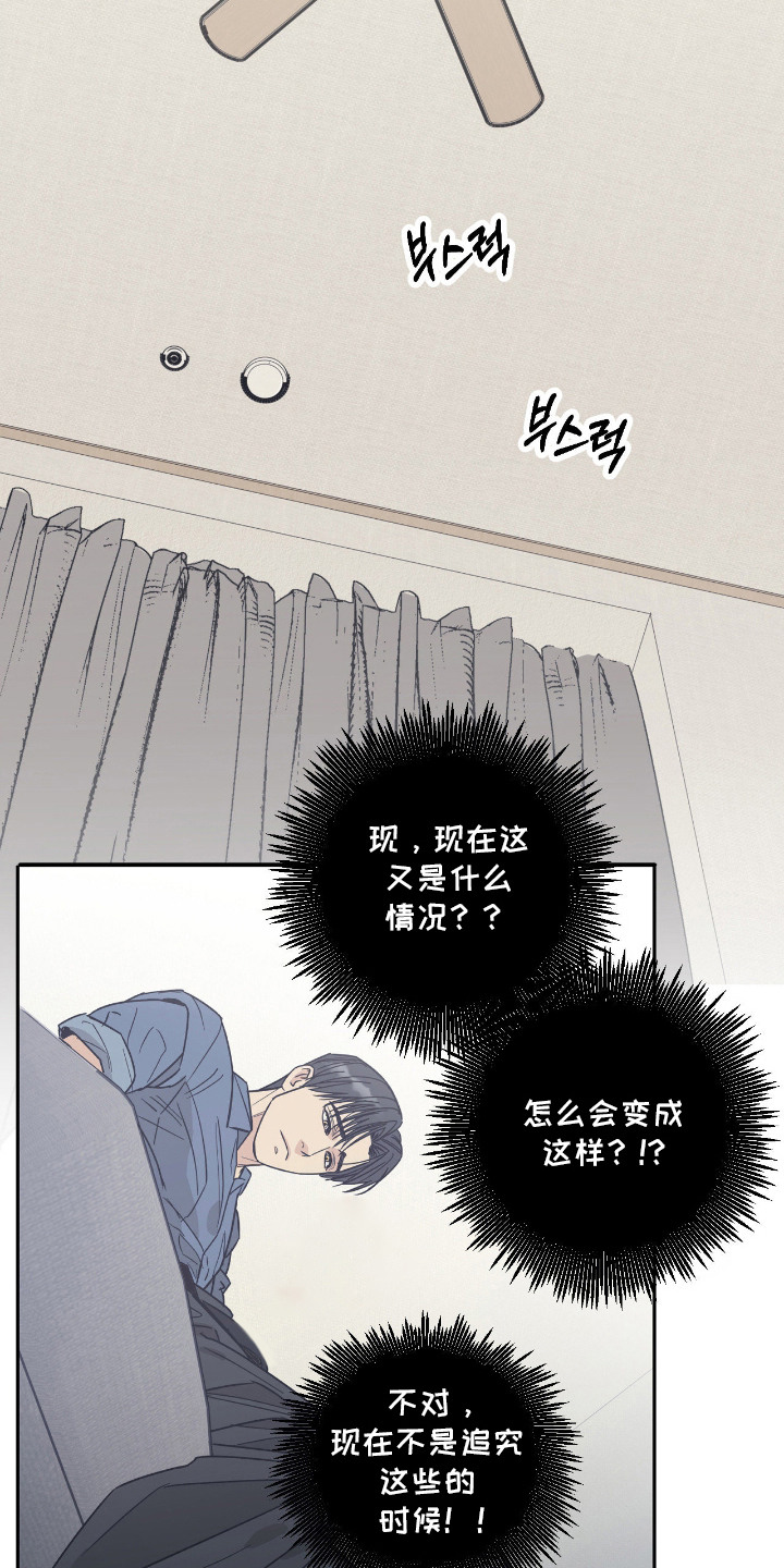猫大爷和我漫画,第4章：慌张3图