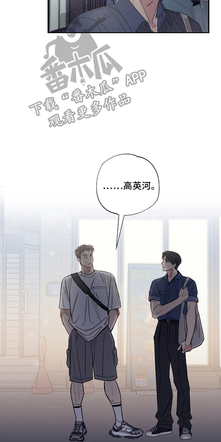 猫大爷和我漫画,第2章：野猫3图