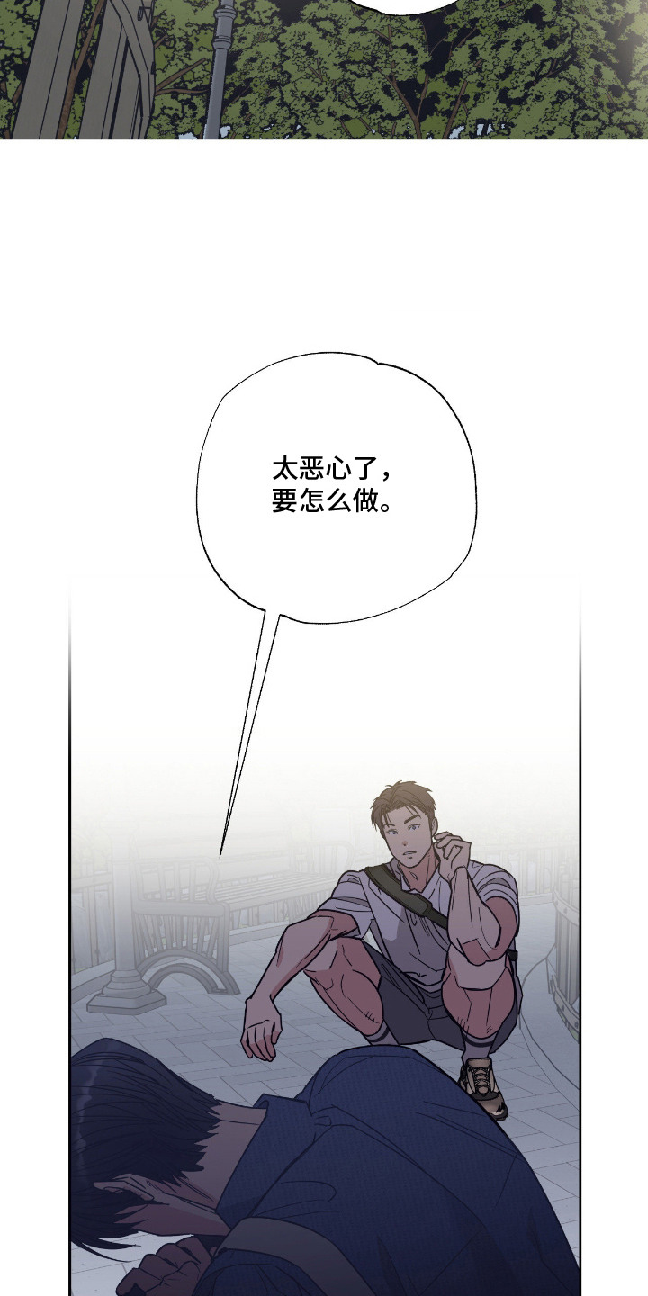 猫大爷和我漫画,第2章：野猫4图