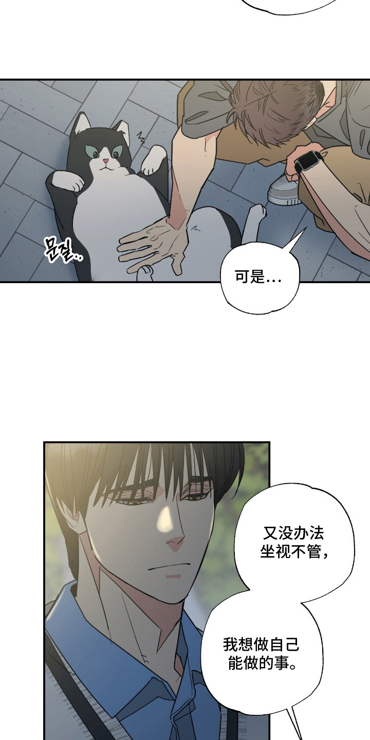 猫大爷和我漫画,第11章：不能不管1图