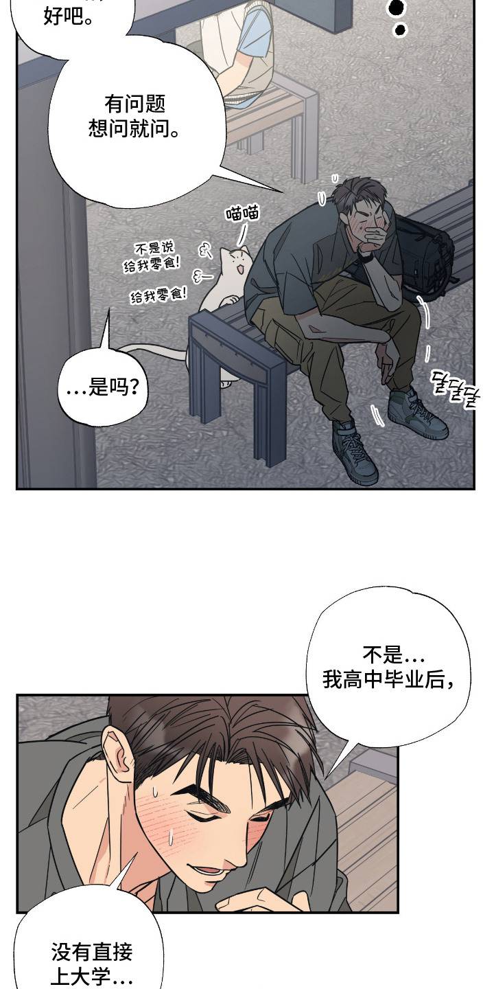 猫大爷和我漫画,第10章：喜欢你2图