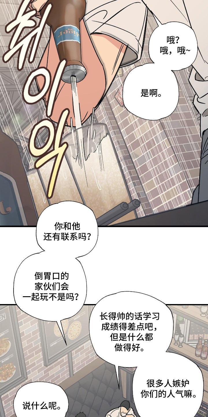 猫大爷和我漫画,第1章：老朋友3图