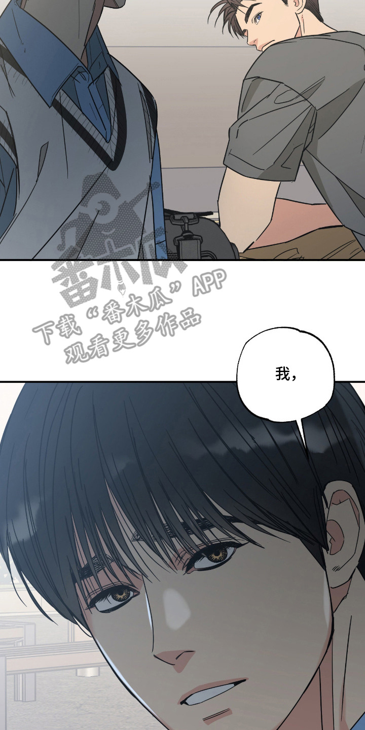 猫大爷和我漫画,第10章：喜欢你4图