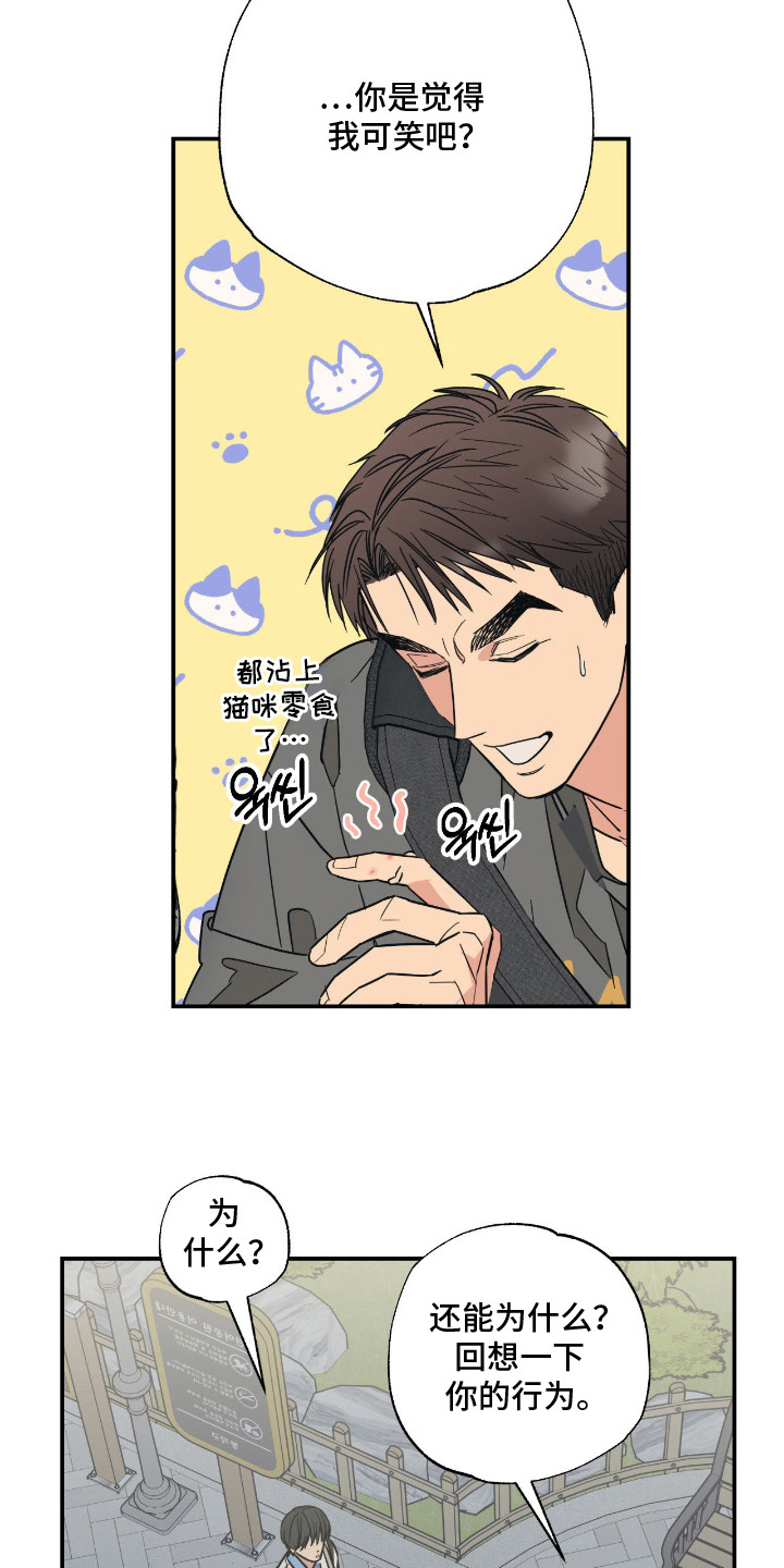 猫大爷和我漫画,第11章：不能不管4图