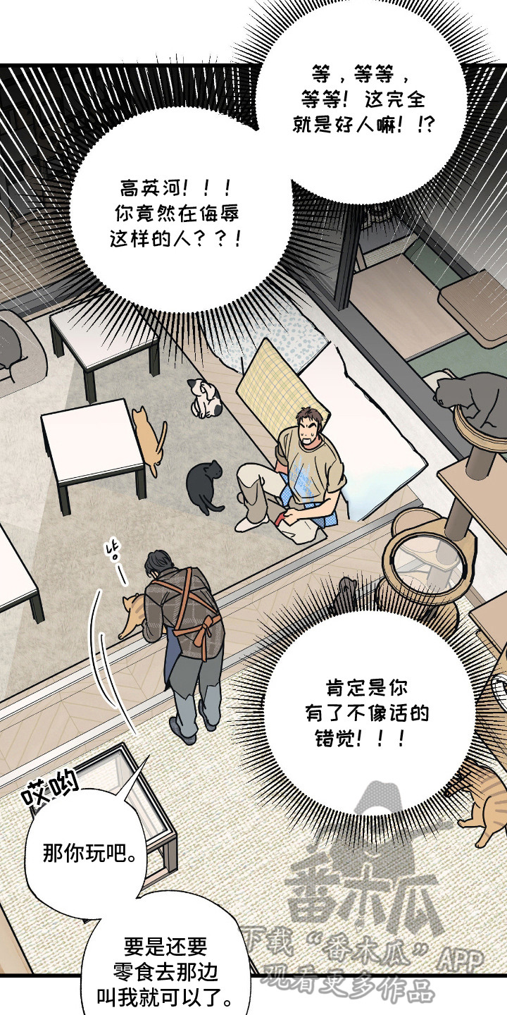 猫大爷和我漫画,第7章：试探2图