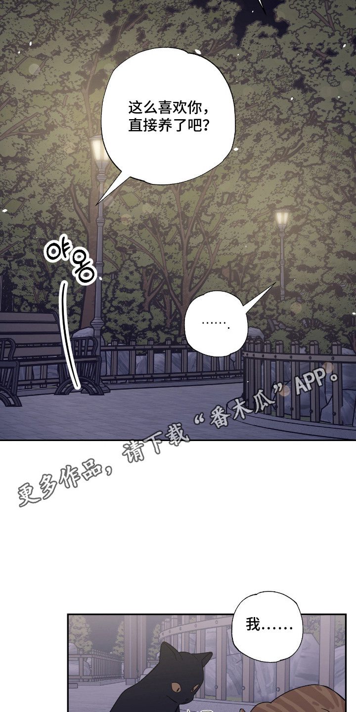 猫大爷和我漫画,第2章：野猫1图
