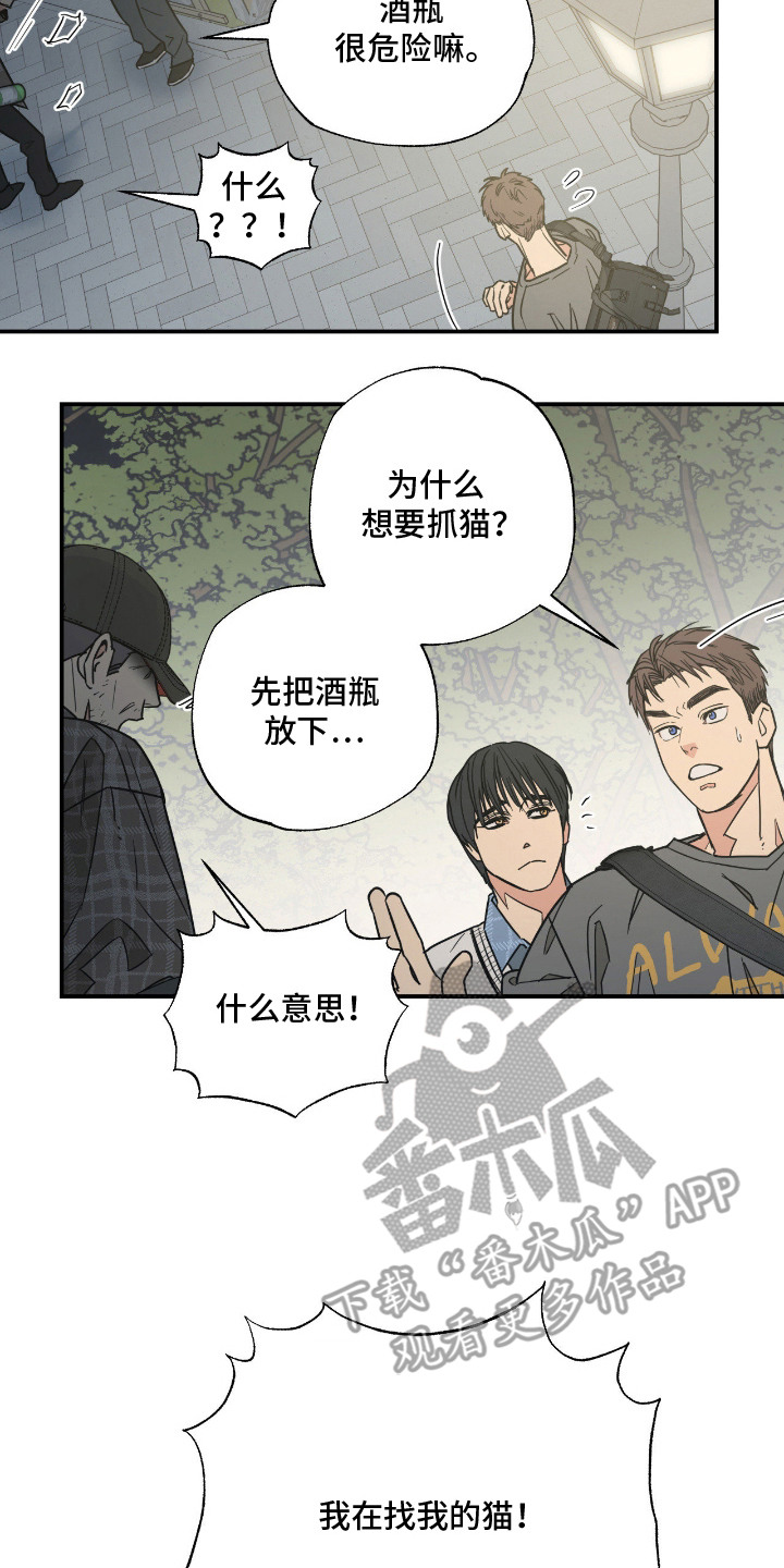 猫大爷和我漫画,第12章：没交往过2图