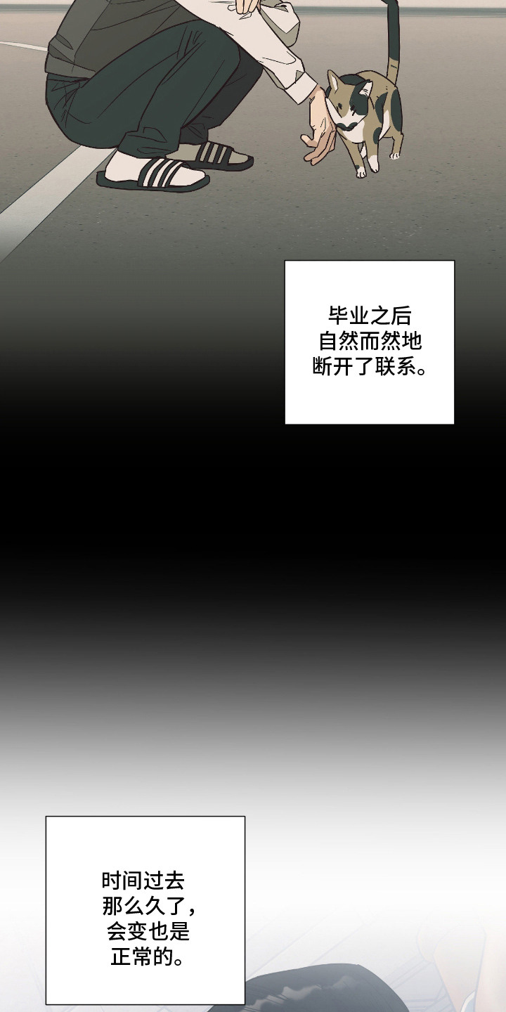 猫大爷和我漫画,第1章：老朋友2图