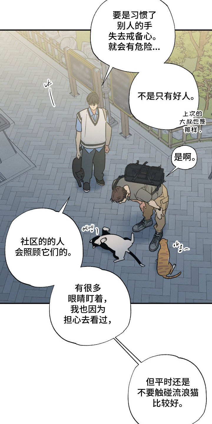 猫大爷和我漫画,第11章：不能不管5图