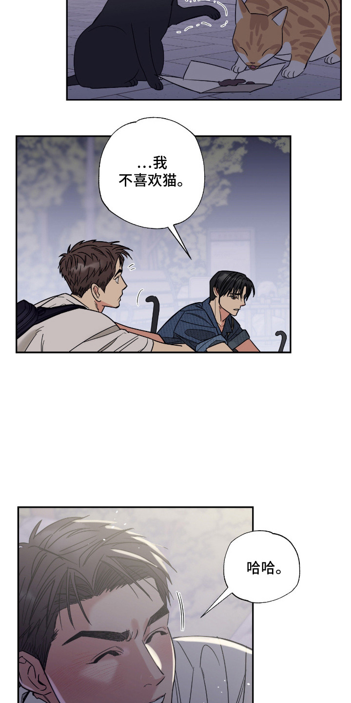 猫大爷和我漫画,第2章：野猫2图