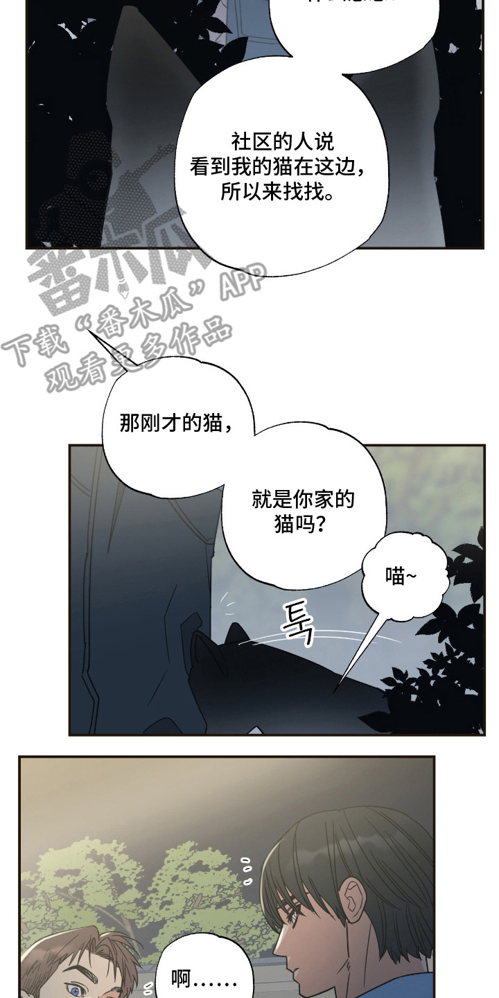 猫大爷和我漫画,第13章：误会2图