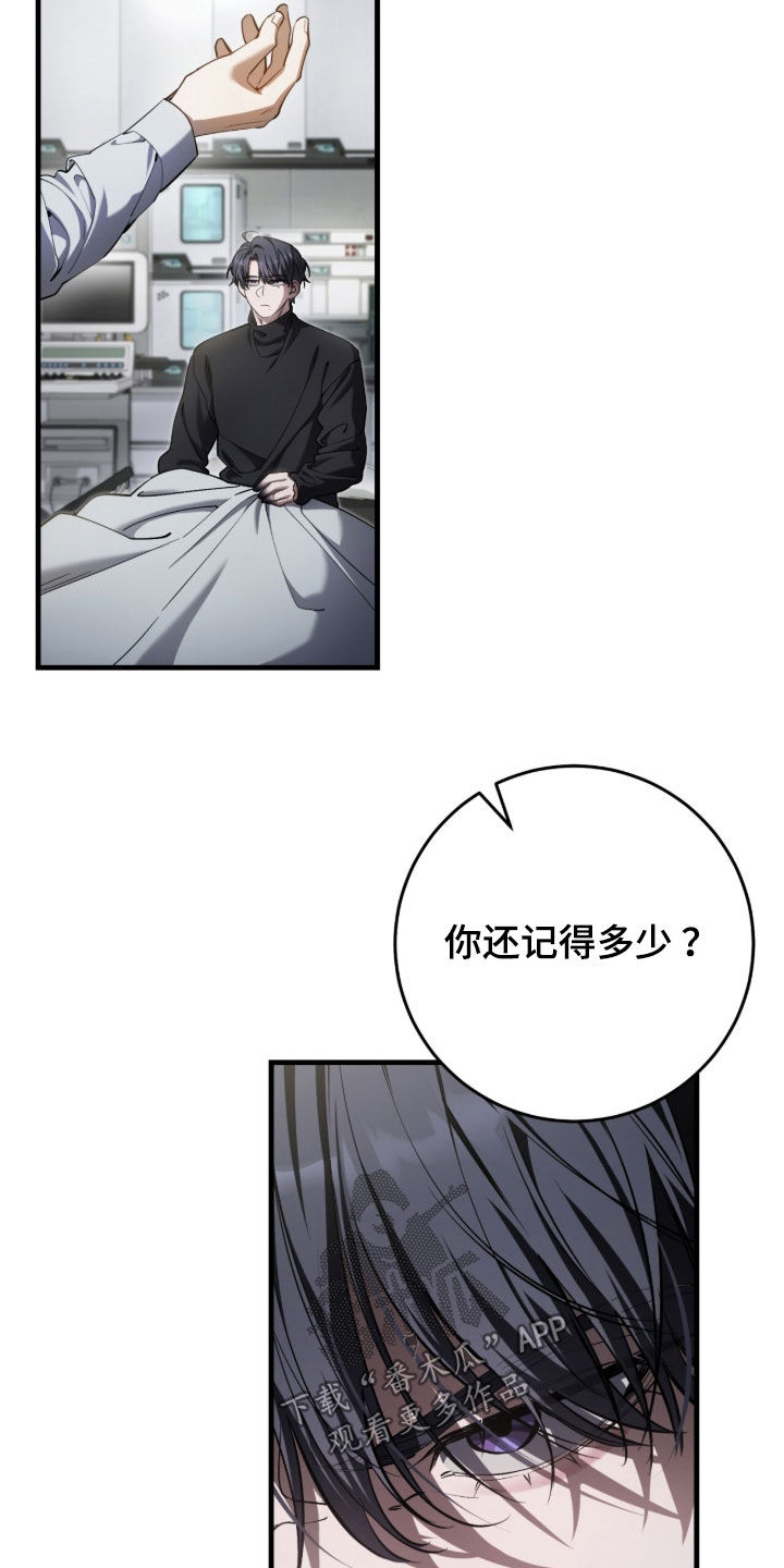 猎人回归笔趣阁TXT下载漫画,第84章：【第二季】没有回复3图
