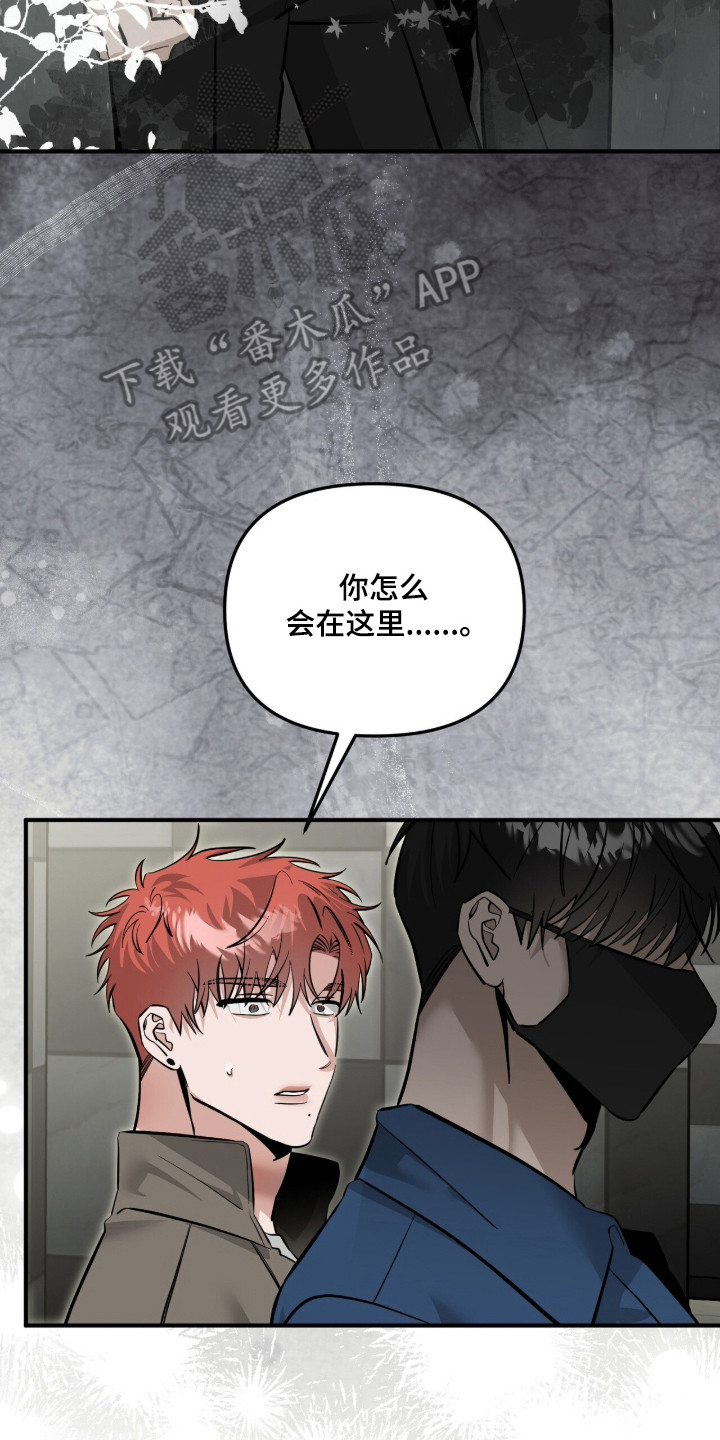 摘下星星送给你漫画,第127章：及时出现4图