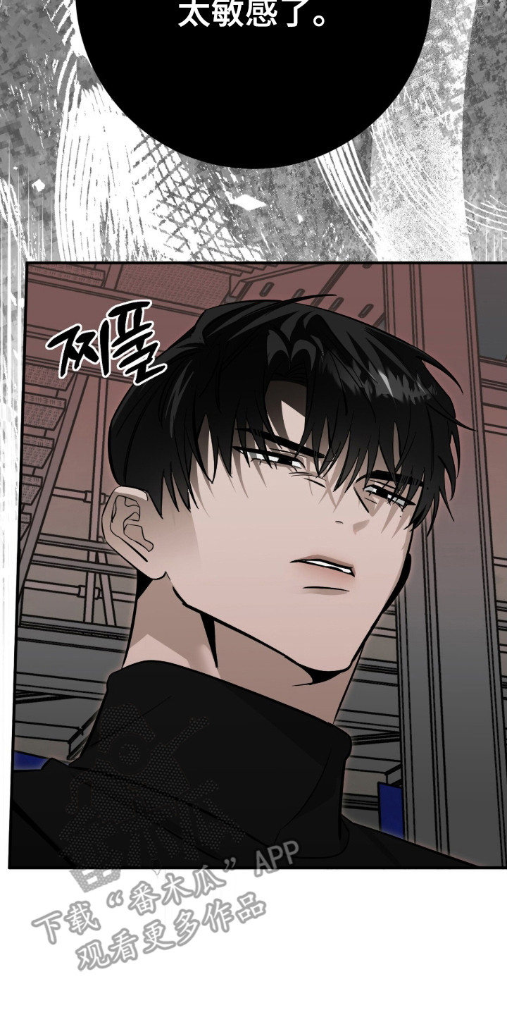 摘下星星送给你漫画,第124章：我是粉丝3图