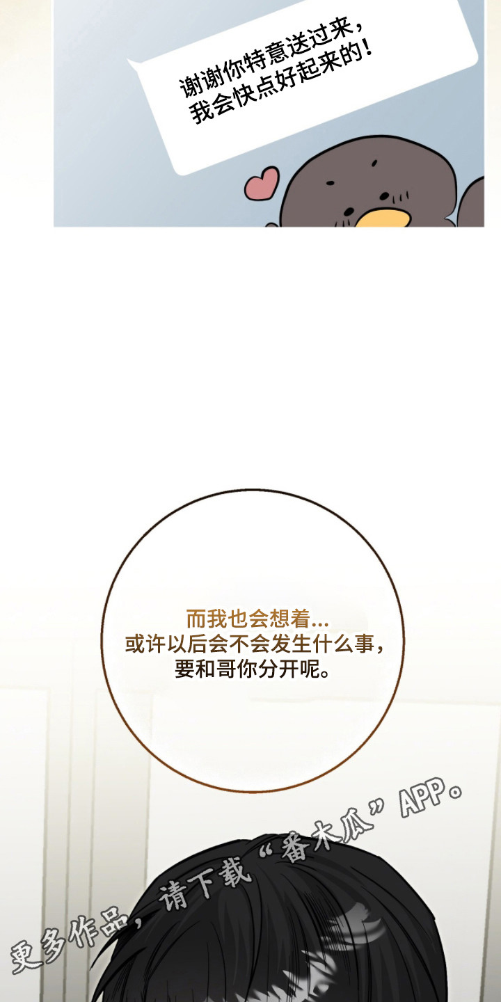 摘下星星送给你漫画,第130章：交往试试5图