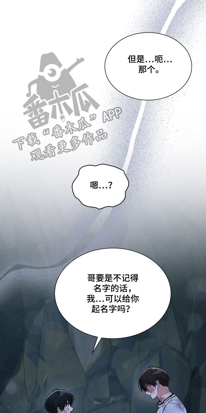 时空老人眷顾的她作文600字漫画,第91章：为爱牺牲3图