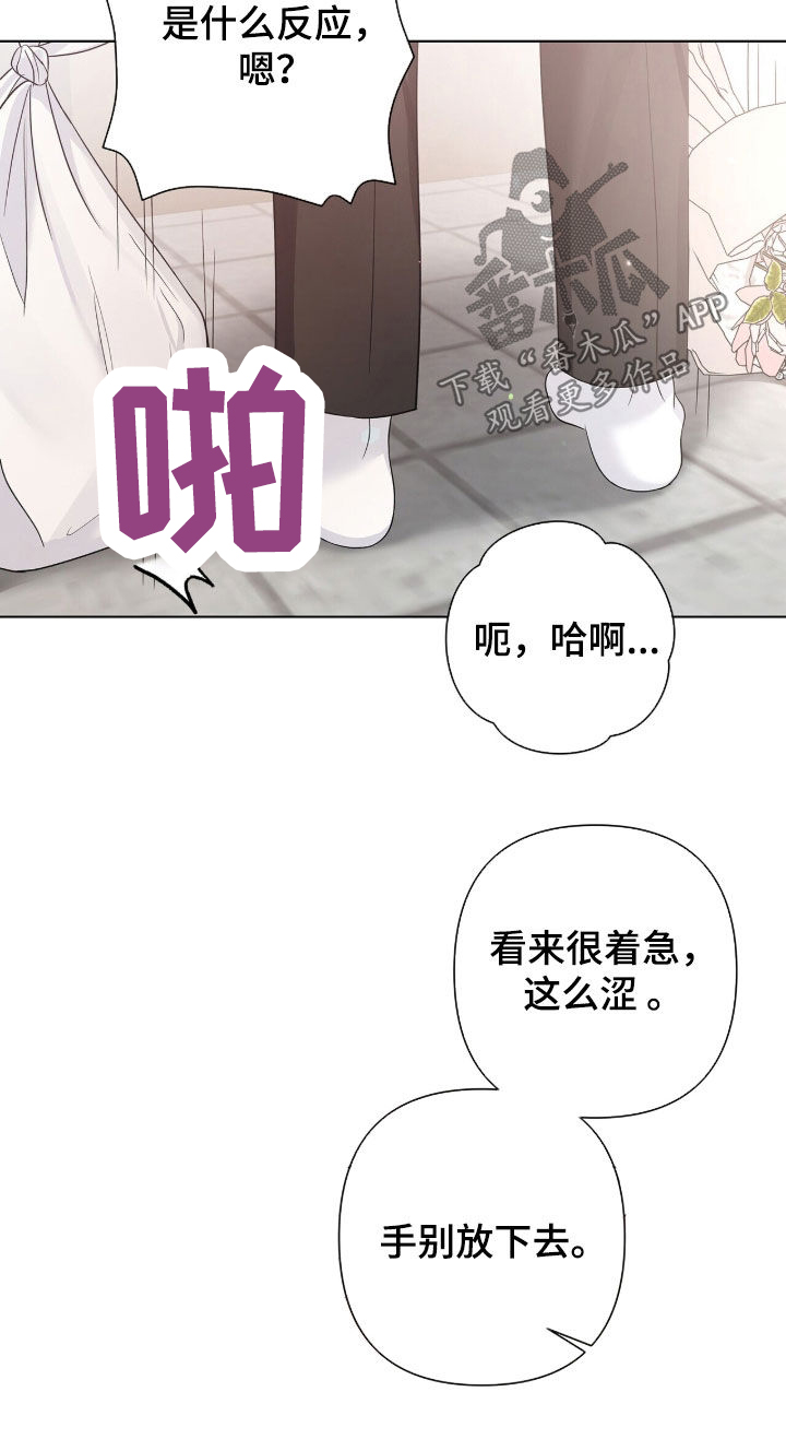 机长密约漫画,第94章：被发现了2图