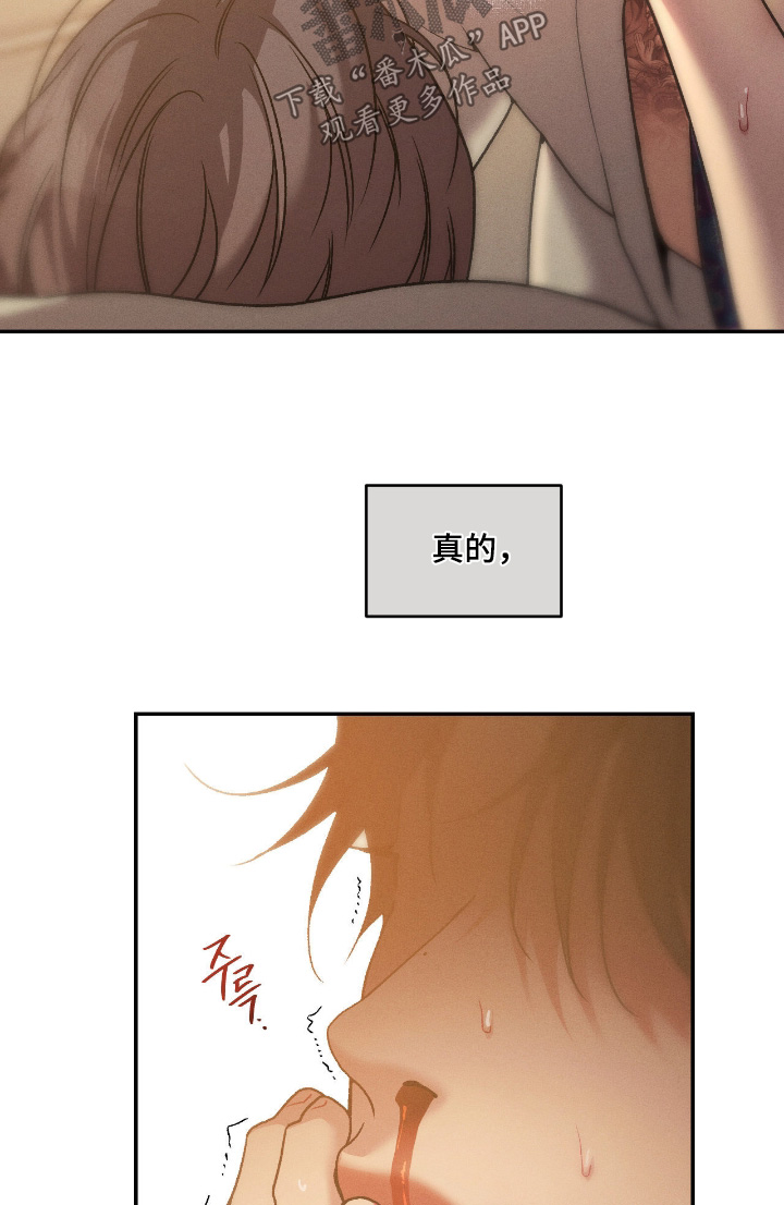 点燃的罪孽漫画,第64章：真的4图