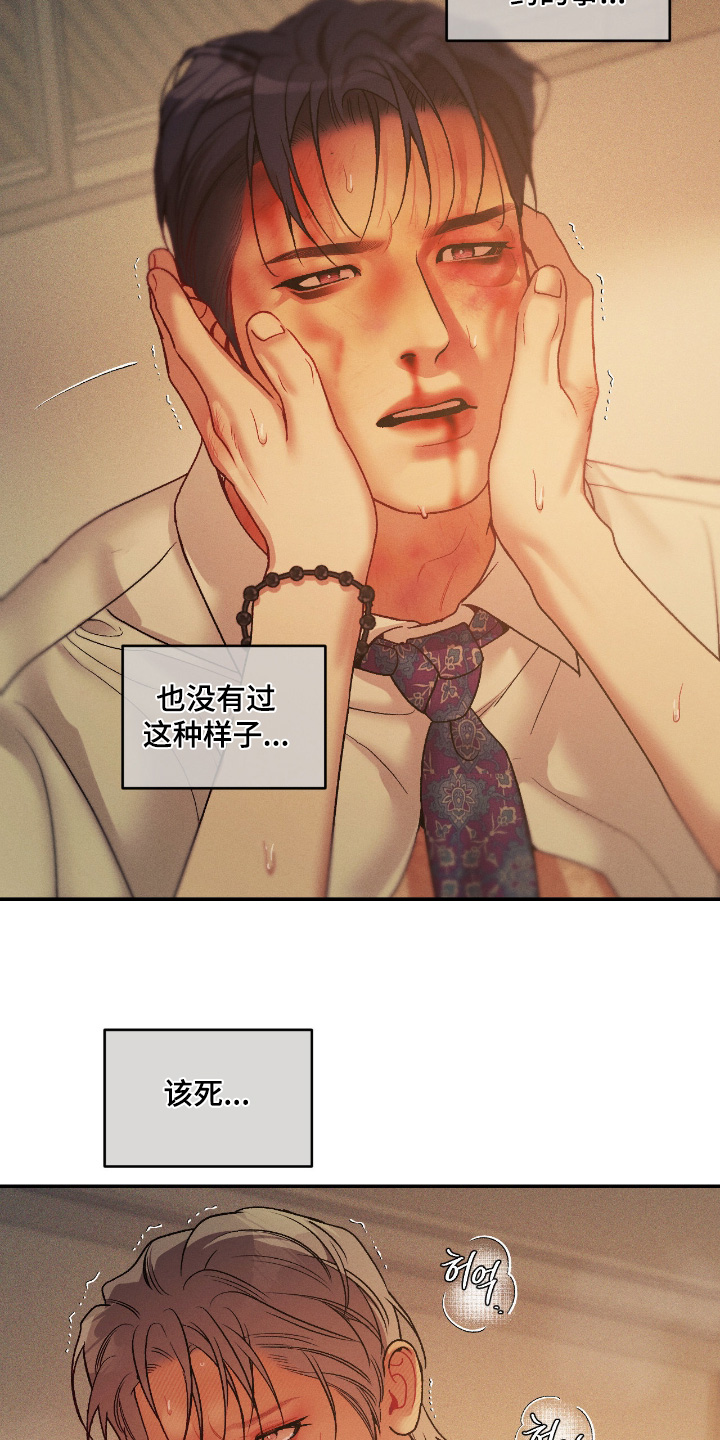 点燃的罪孽漫画,第64章：真的4图