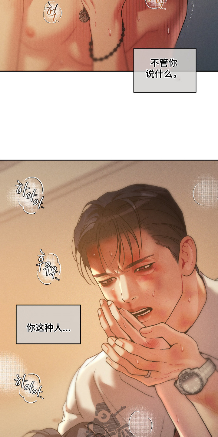 点燃的罪孽漫画,第64章：真的3图