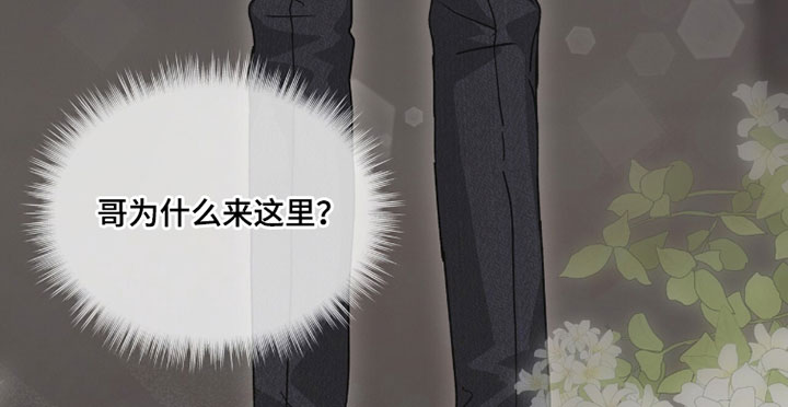 罪影同谋漫画,第73章：唯一办法1图