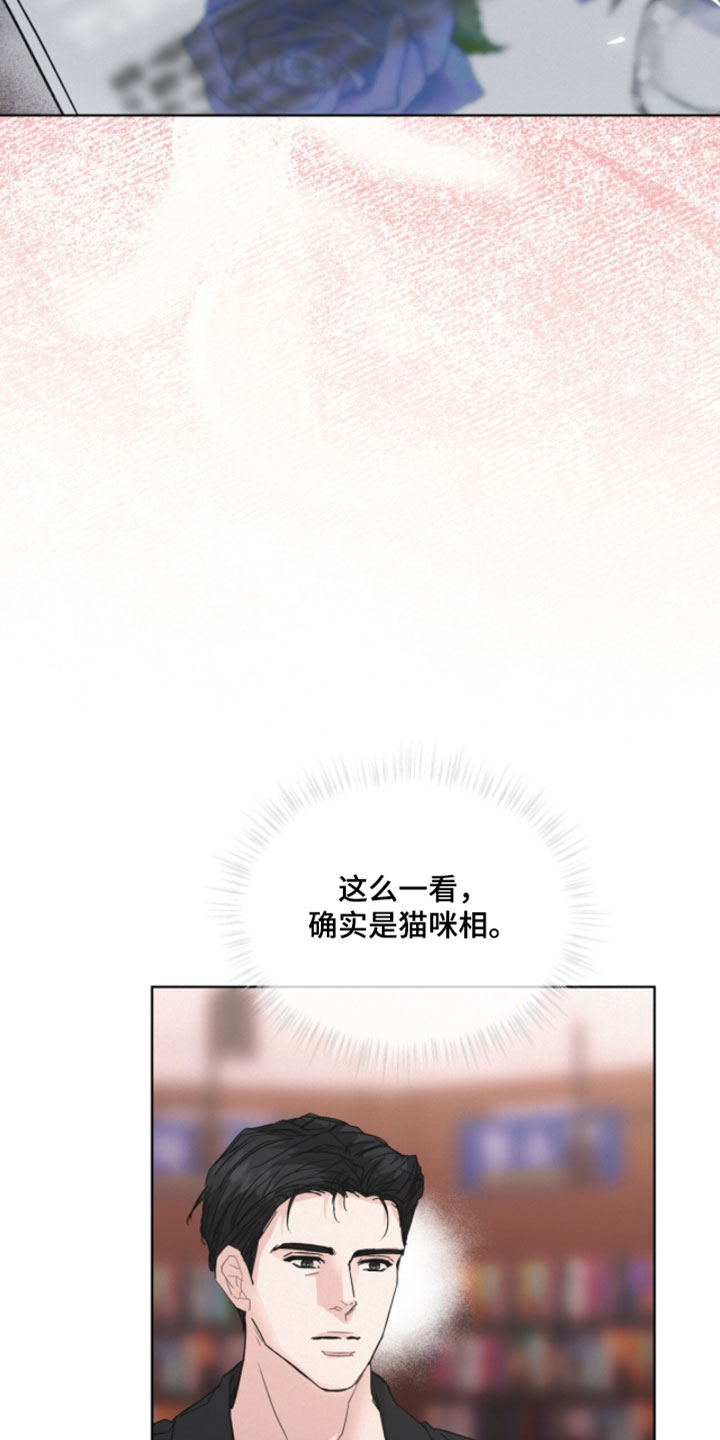罪影同谋漫画,第71章：没什么可看的3图