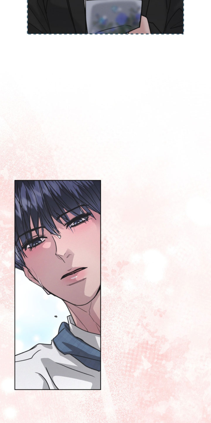 罪影同谋漫画,第71章：没什么可看的1图