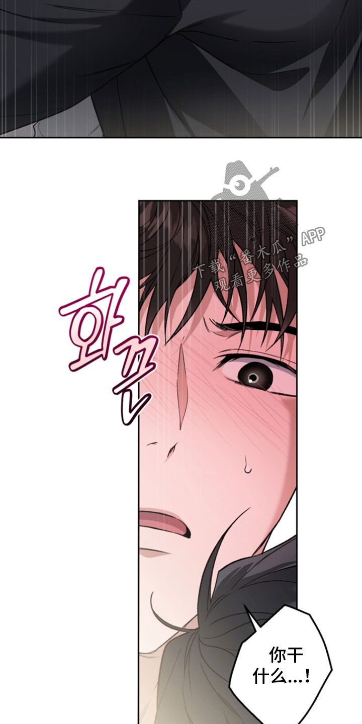 猛兽育儿书漫画,第69章：我真的会发疯4图