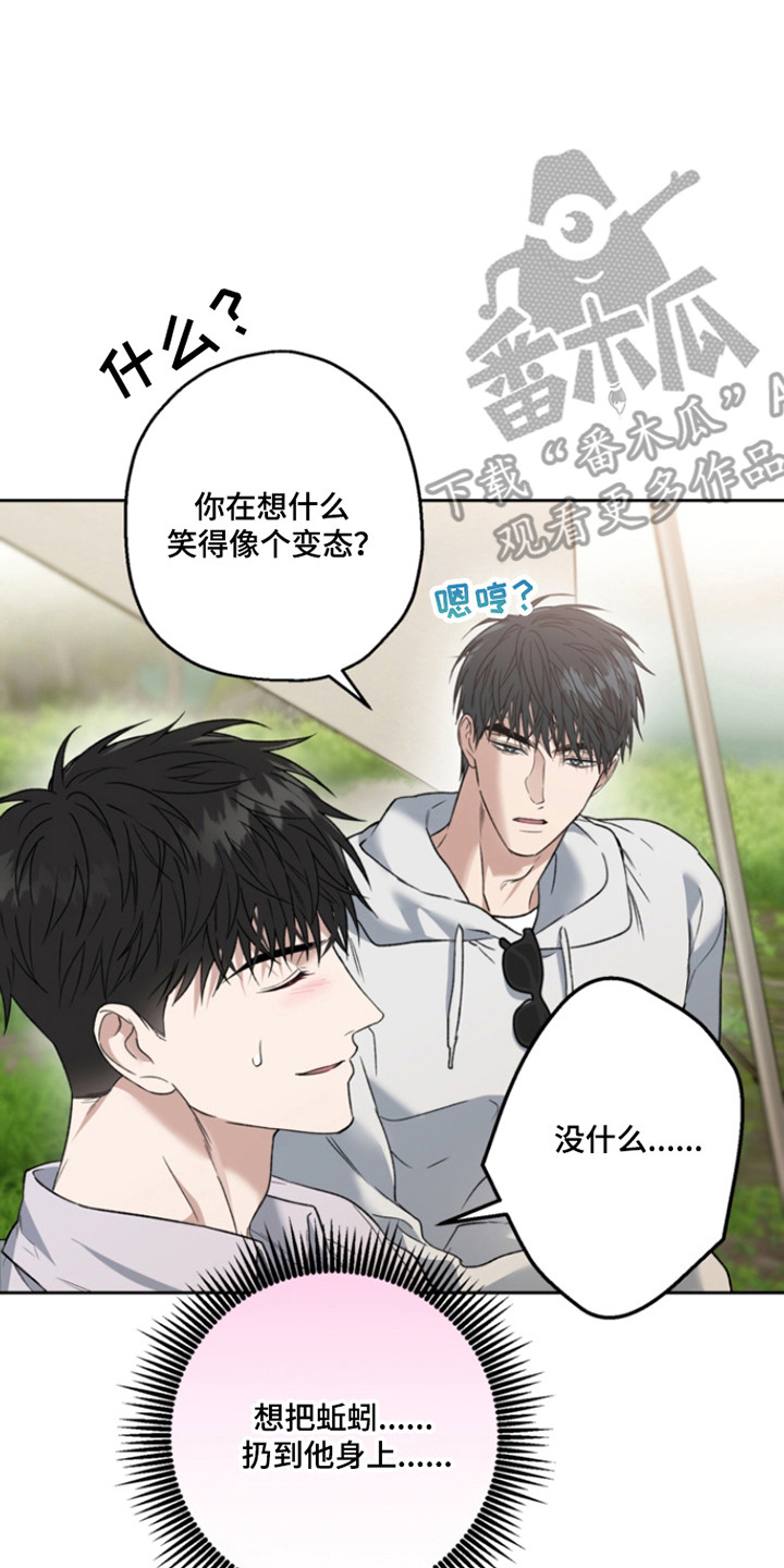 猛兽育儿书漫画,第74章：状态不对2图