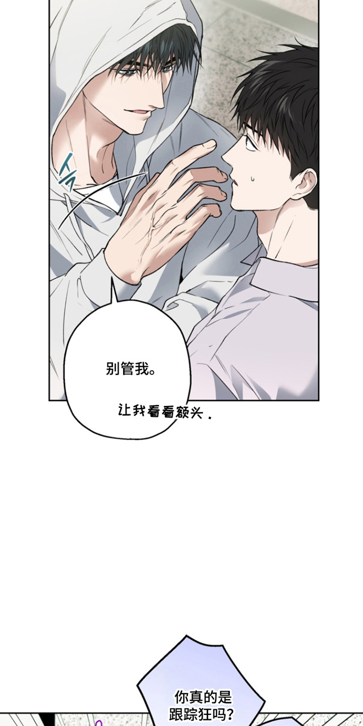 猛兽育儿书漫画,第73章：早有预谋5图