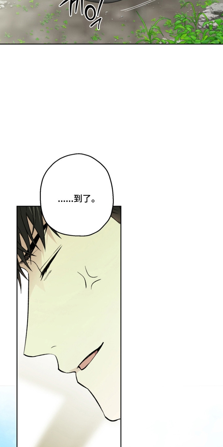 猛兽育儿书漫画,第73章：早有预谋4图